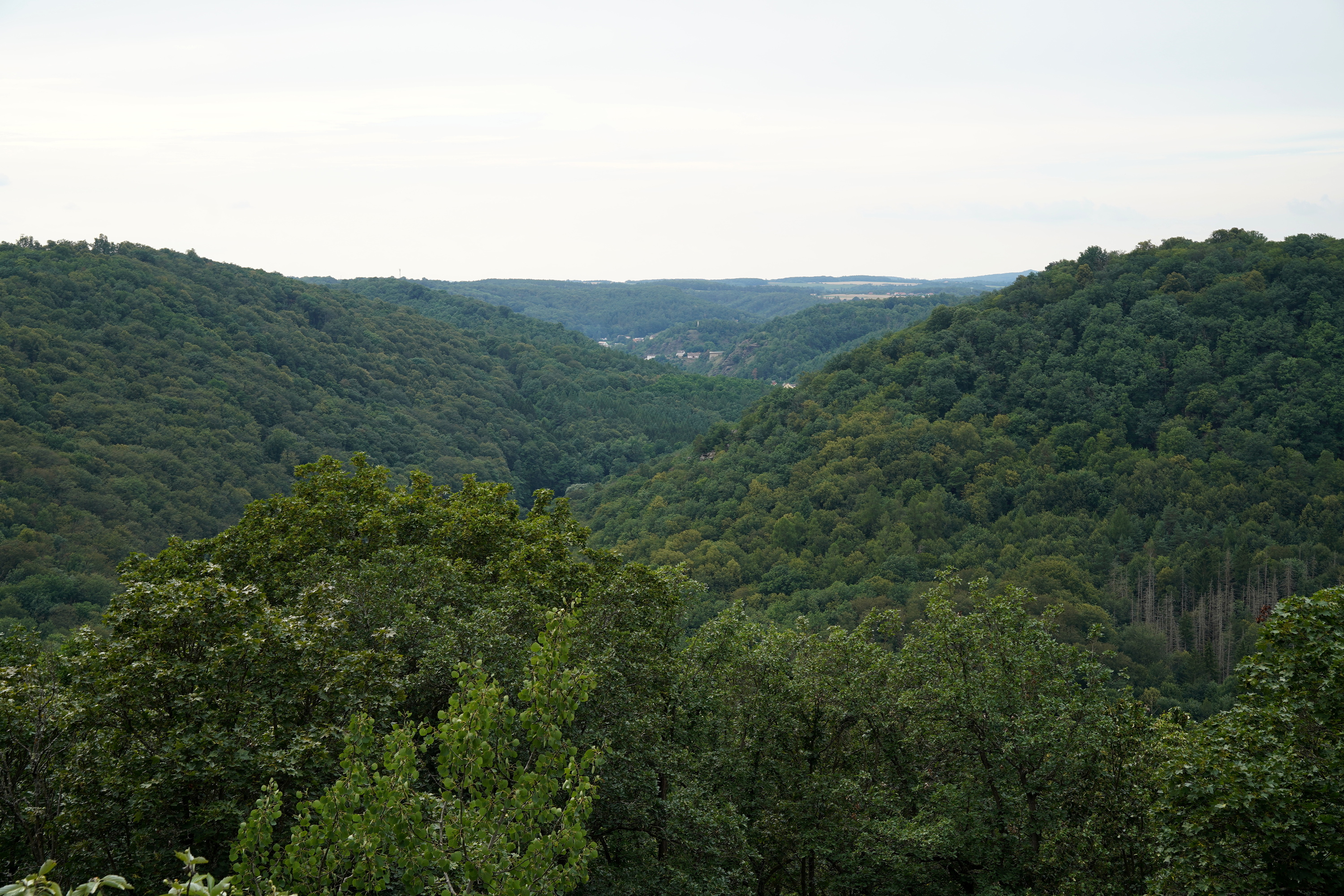 2024-07-20 Ledove sluje u Cizova